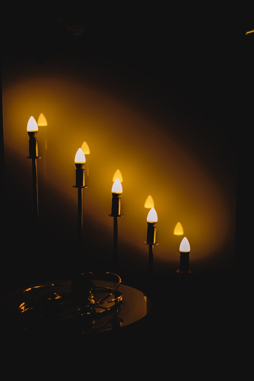 The Light’s Contribution to the World