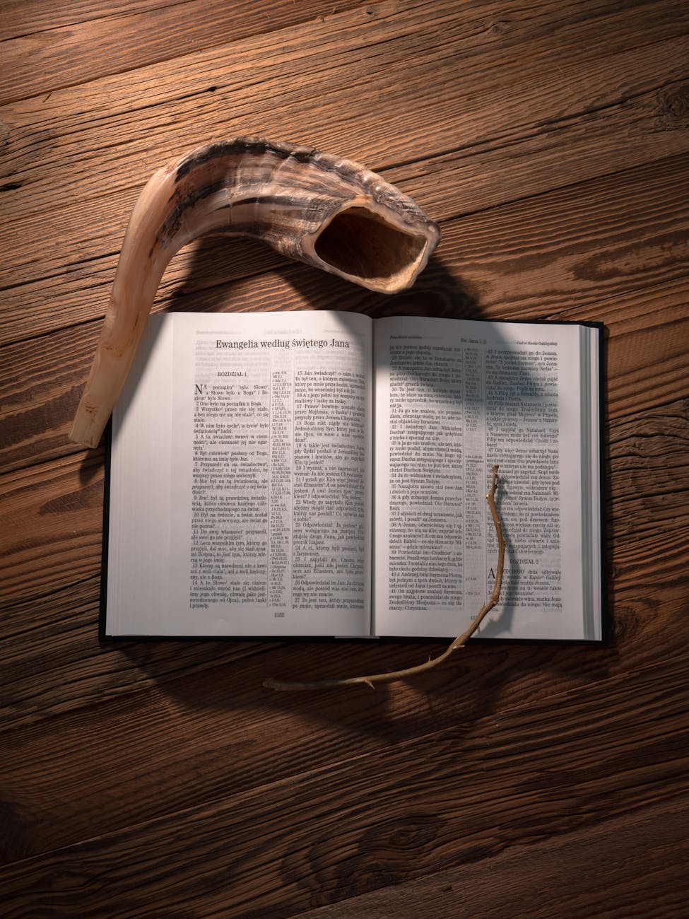 How God Speaks Through His Appointed Times